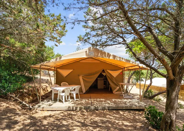 Camping Le Damier
